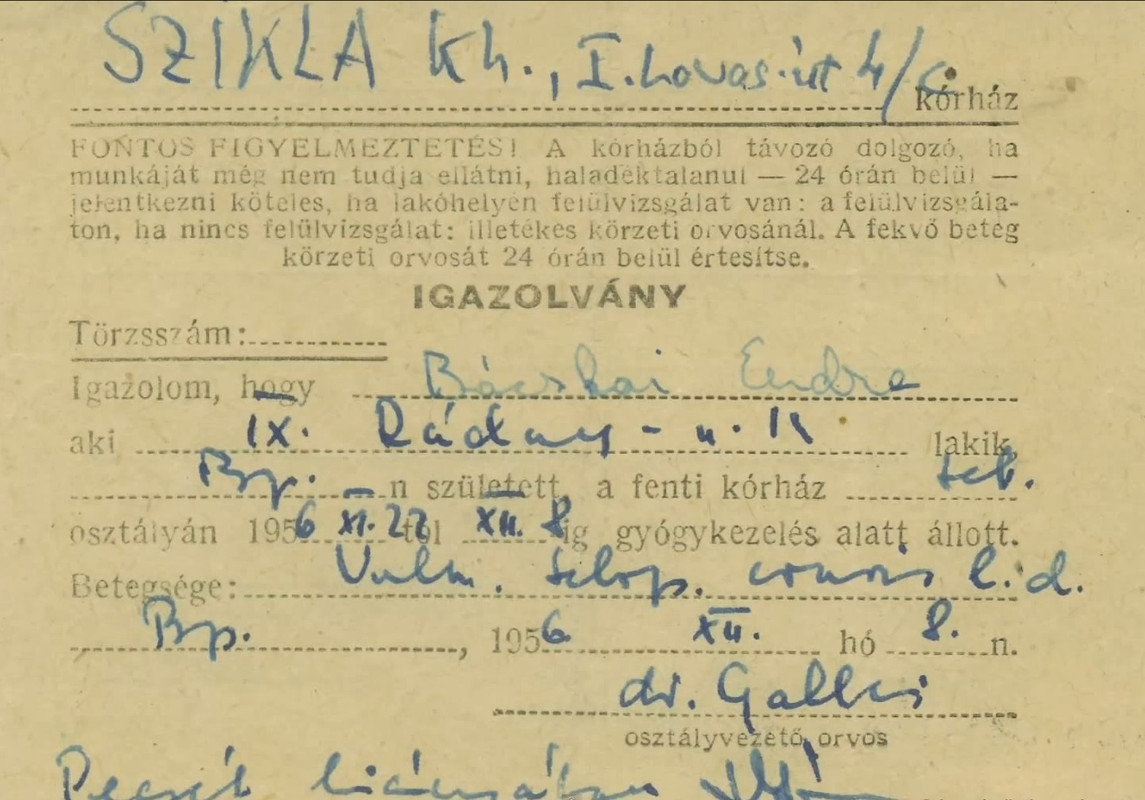Certificado de tratamiento de Endre Bácskai
