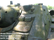 Советская средняя САУ СУ-85, Любуский музей войсковый, дер. Джонув, Польша. 85_156