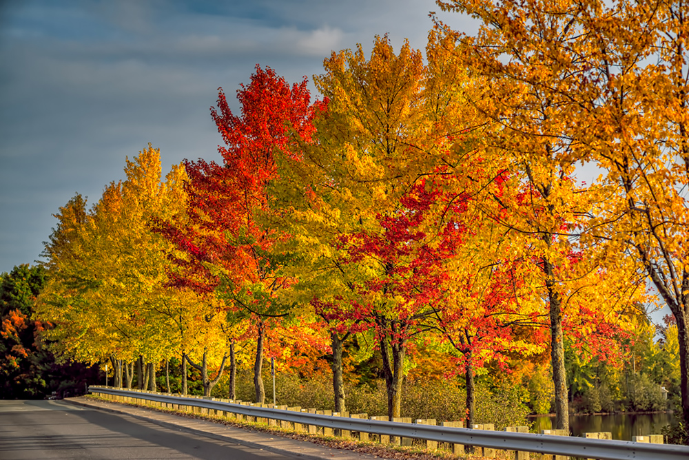 Vermont and Quebec Fall colors trip - FlyerTalk Forums
