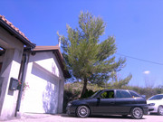 Slika