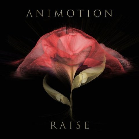 Animotion - Raise Your Expectations (2017) 320 KBPS
