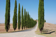 Día 5: Valle de Orcia - 6 días en la Toscana, con Niños (2)