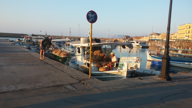 Paseando por Creta - Blogs de Grecia - Recorriendo el norte de la isla (9)
