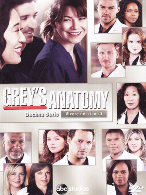 Grey's Anatomy - Stagione 10 (2013-2014) 6xDVD9 COPIA 1:1 ITA-ENG-ESP