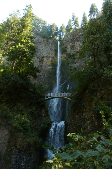 Día 8: Portland - Columbia River Gorge - Mount Hood - Las maravillas del Noroeste de los Estados Unidos (10)