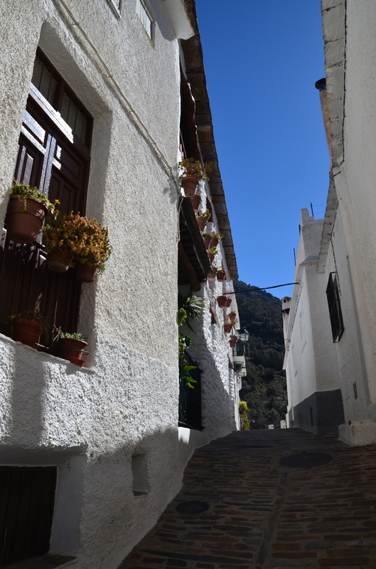 PAMPANEIRA-10-3-2017-GRANADA - Los pueblos más bonitos de España-2010/2023 (48)