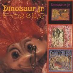 Dinosaur Jr - Fossils (1991).mp3 - 128 Kbps