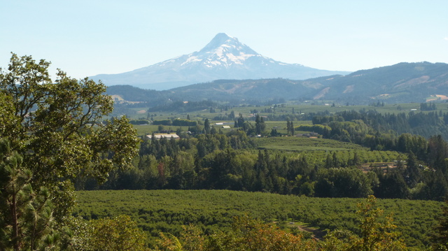 Día 8: Portland - Columbia River Gorge - Mount Hood - Las maravillas del Noroeste de los Estados Unidos (11)