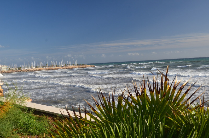 SITGES-5-11-2016 - Barcelona y sus pueblos-2014/2016/2017 (6)